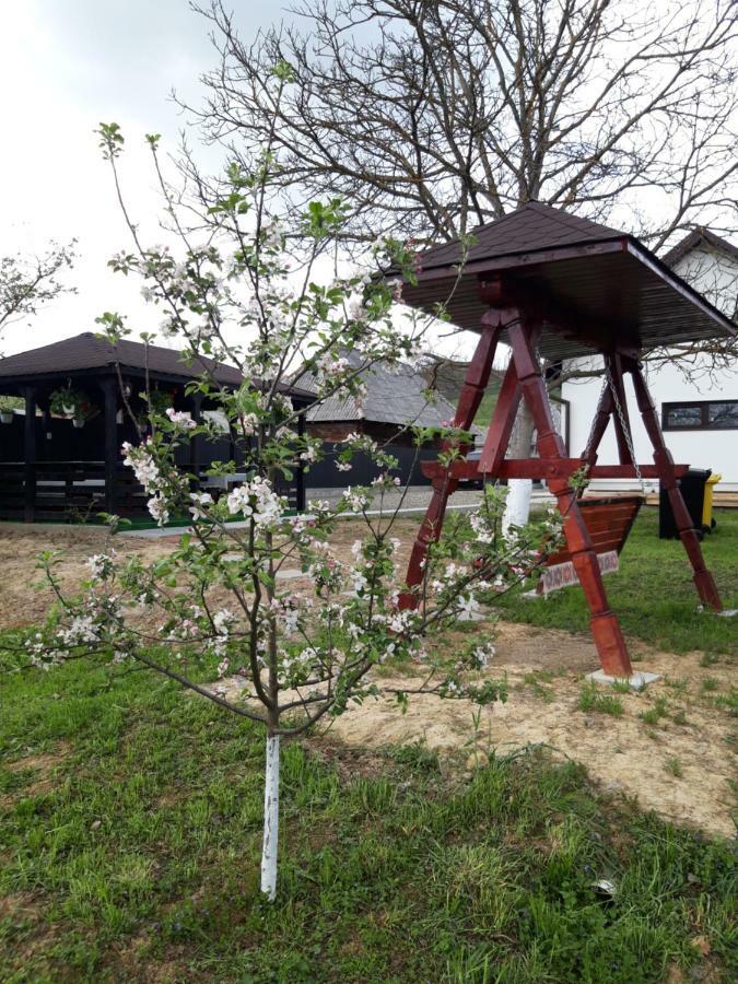 Casa Bianca Oncesti ξενώνας Εξωτερικό φωτογραφία